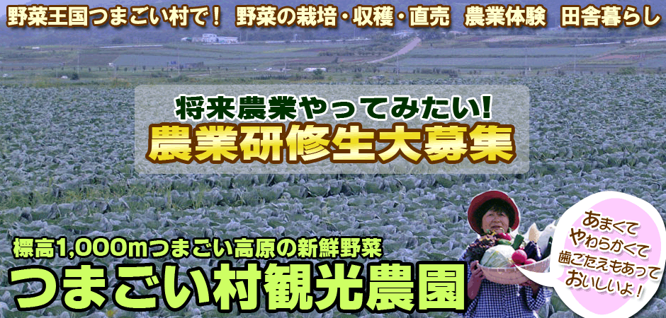 標高1,000m嬬恋高原の新鮮野菜つまごい村観光農園
